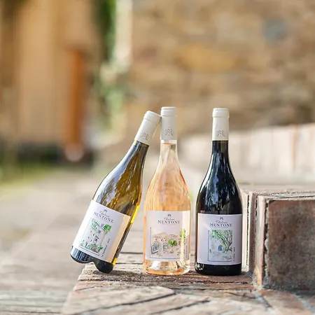 Maison d'hôtes Château Mentone