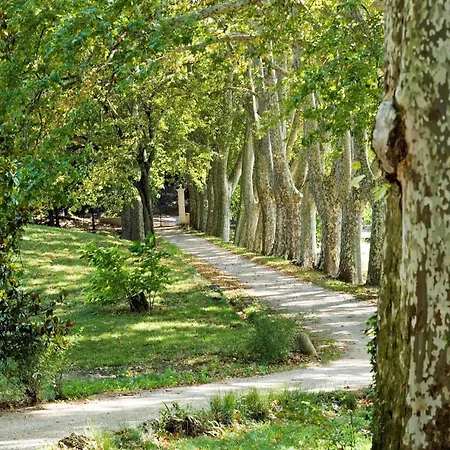 Château Mentone Masseboeuf